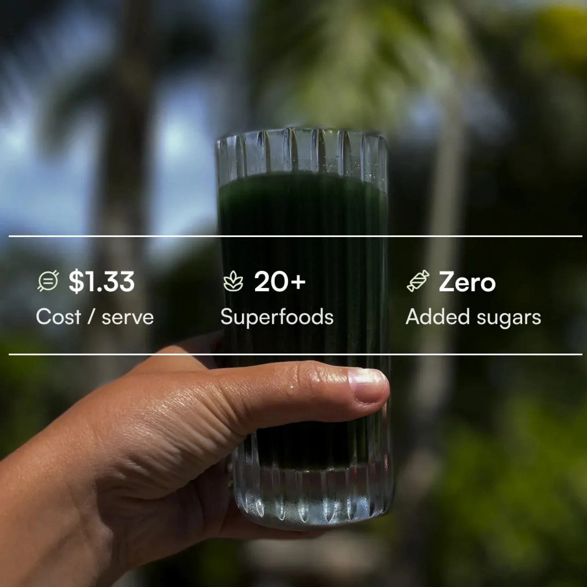 Super Greens Welcome Kit: all-natural greens powder for daily health - Image 10